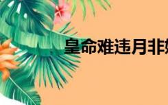 皇命难违月非娆（皇命难违）