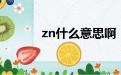 zn什么意思啊（ZN什么意思）