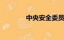 中央安全委员会办公室主任