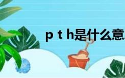 p t h是什么意思（p to登录）