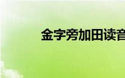 金字旁加田读音（金字旁加田）