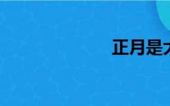 正月是大年初一