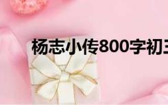 杨志小传800字初三作文（杨志小传）