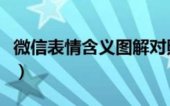 微信表情含义图解对照表大全（微信表情含义）