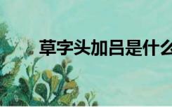 草字头加吕是什么字（草字头加吕）