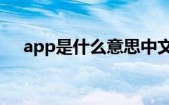 app是什么意思中文（app是什么东西）