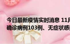 今日最新疫情实时消息 11月13日0—18时，重庆新增本土确诊病例103例、无症状感染者961例