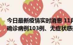 今日最新疫情实时消息 11月13日0—18时，重庆新增本土确诊病例103例、无症状感染者961例