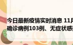 今日最新疫情实时消息 11月13日0—18时，重庆新增本土确诊病例103例、无症状感染者961例