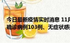 今日最新疫情实时消息 11月13日0—18时，重庆新增本土确诊病例103例、无症状感染者961例