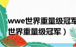 wwe世界重量级冠军和全球冠军区别（wwe世界重量级冠军）