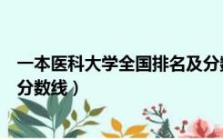 一本医科大学全国排名及分数线（一本医科大学全国排名及分数线）