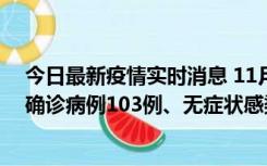 今日最新疫情实时消息 11月13日0—18时，重庆新增本土确诊病例103例、无症状感染者961例