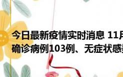 今日最新疫情实时消息 11月13日0—18时，重庆新增本土确诊病例103例、无症状感染者961例