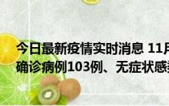 今日最新疫情实时消息 11月13日0—18时，重庆新增本土确诊病例103例、无症状感染者961例