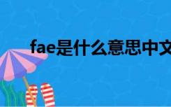 fae是什么意思中文（fae是什么意思）