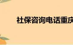 社保咨询电话重庆（社保咨询电话）