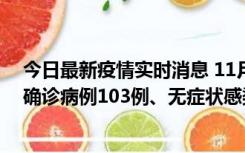 今日最新疫情实时消息 11月13日0—18时，重庆新增本土确诊病例103例、无症状感染者961例