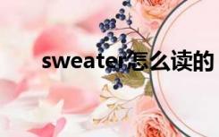 sweater怎么读的（sweater怎么读）