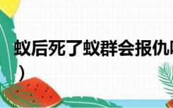 蚁后死了蚁群会报仇吗（蚁后死了蚁群会怎样）