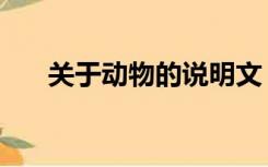 关于动物的说明文（关于动物的俗语）