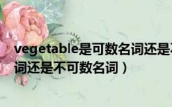 vegetable是可数名词还是不可数吗（vegetable是可数名词还是不可数名词）