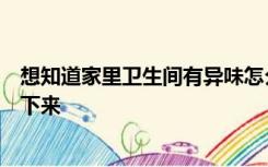 想知道家里卫生间有异味怎么处理？用消毒剂刷一下让它慢下来