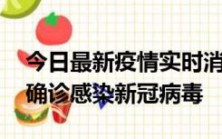 今日最新疫情实时消息 摩洛哥首相阿赫努什确诊感染新冠病毒