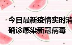 今日最新疫情实时消息 摩洛哥首相阿赫努什确诊感染新冠病毒