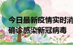 今日最新疫情实时消息 摩洛哥首相阿赫努什确诊感染新冠病毒