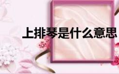 上排琴是什么意思（Spq是什么意思）