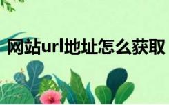 网站url地址怎么获取（网站url地址是什么）