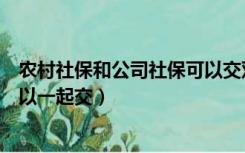 农村社保和公司社保可以交双份吗（农村社保和公司社保可以一起交）