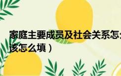 家庭主要成员及社会关系怎么填（家庭及社会关系成员情况该怎么填）