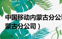 中国移动内蒙古分公司校园招聘（中国移动内蒙古分公司）