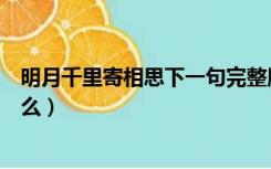 明月千里寄相思下一句完整版（明月千里寄相思下一句是什么）