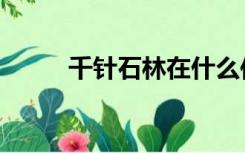 千针石林在什么位置（千针石林）