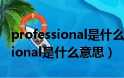 professional是什么意思英语翻译（professional是什么意思）