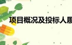 项目概况及投标人履约情况（项目概况）