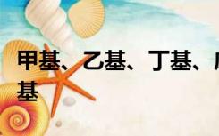 甲基、乙基、丁基、戊基、庚酸基和非十一烷基