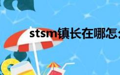 stsm镇长在哪怎么走（stsm后门）