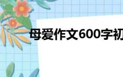 母爱作文600字初中生（母爱作文）