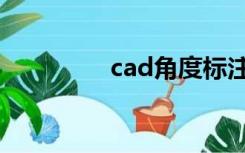 cad角度标注（cad角度）