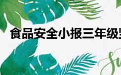 食品安全小报三年级竖版（食品安全小报）