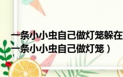 一条小小虫自己做灯笼躲在灯笼里变个飞仙女猜一个昆虫（一条小小虫自己做灯笼）