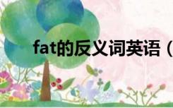 fat的反义词英语（fat的反义词英语）