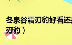 冬泉谷霜刃豹好看还是精灵族豹子（冬泉谷霜刃豹）