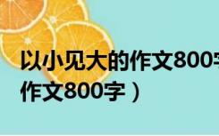 以小见大的作文800字关于时钟（以小见大的作文800字）