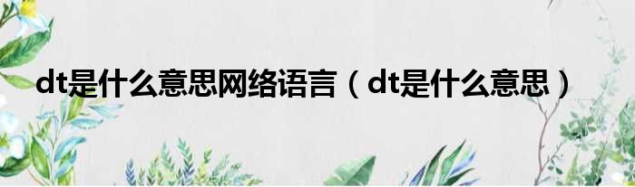 深入了解DT指令功能及操作 (深入了解的高级表达)