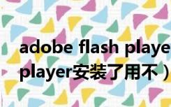 adobe flash player安装包（adobe flash player安装了用不）